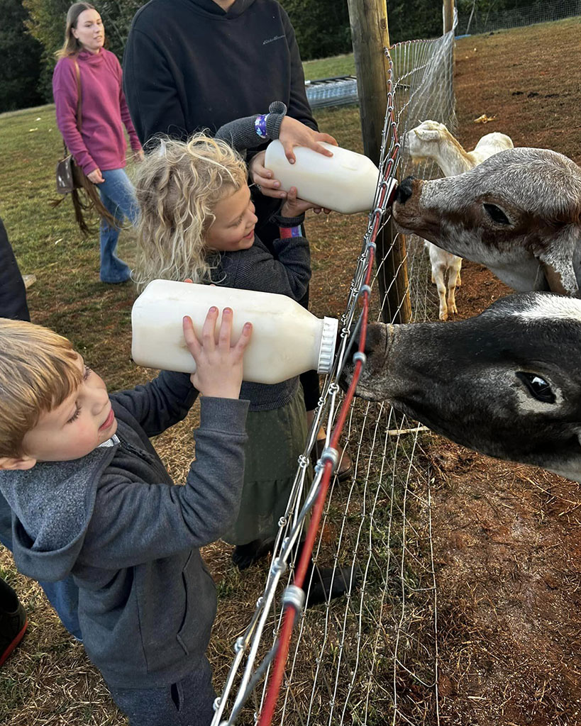 Petting Zoo